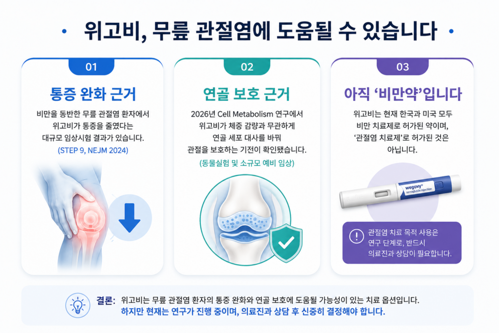 위고비 무릎 관절염 효과 핵심 요약 - 통증 완화와 연골 보호 근거